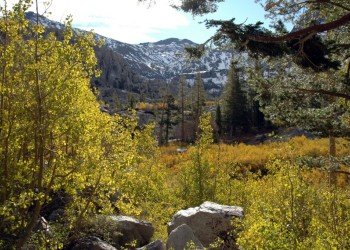 Union West Campground