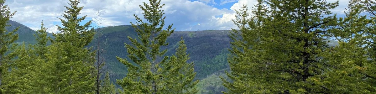 USDA Forest Service