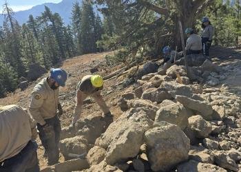 USDA Forest Service