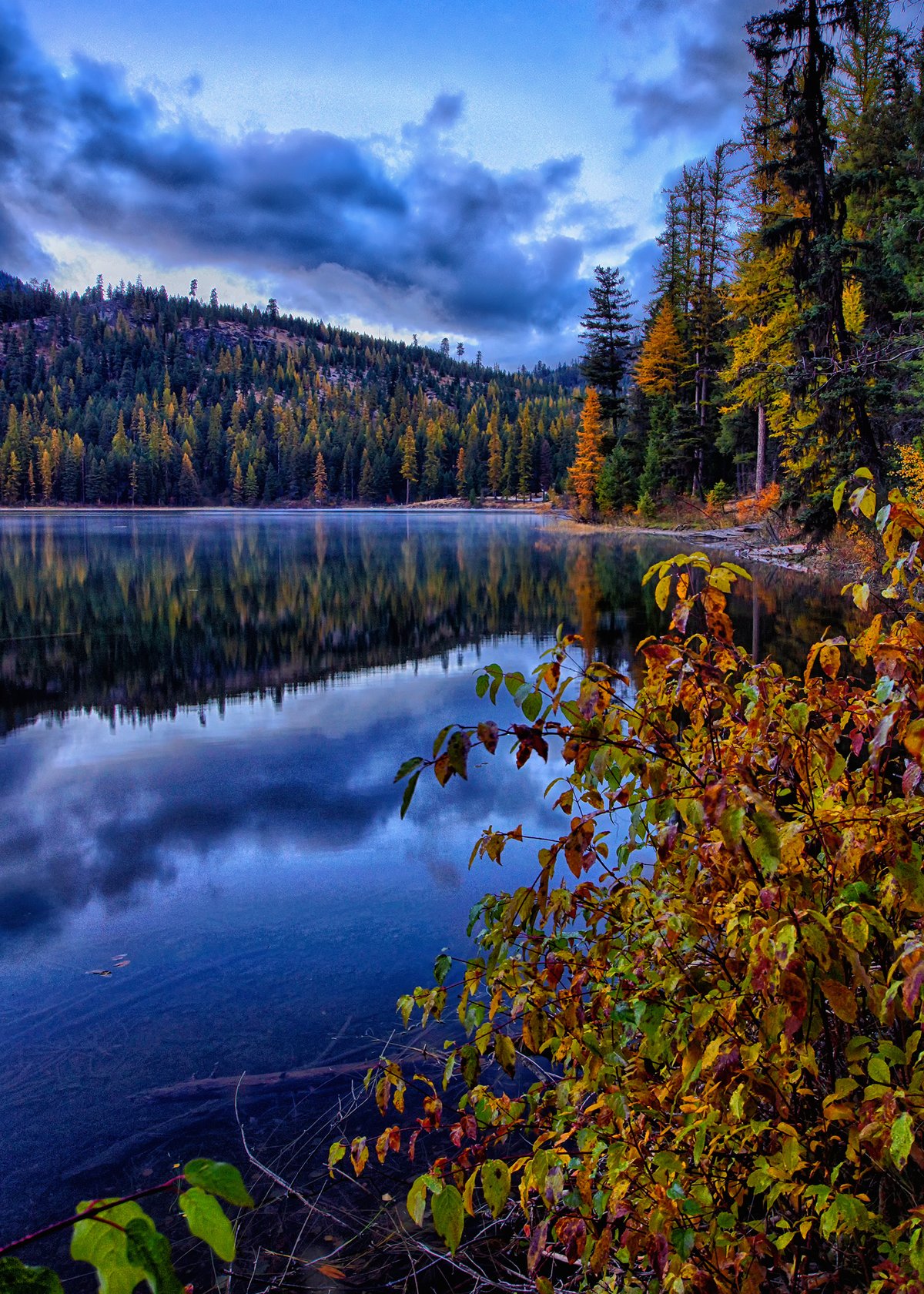 USDA Forest Service
