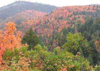 Lower Provo River Campground