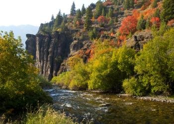 Lower Provo River Campground
