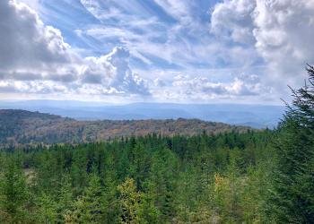 USDA Forest Service