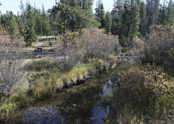 Cable Mountain Campground