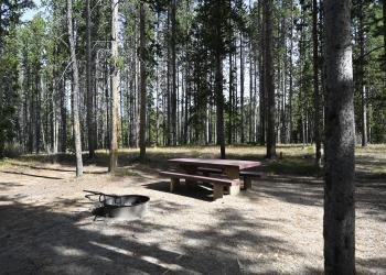 USDA Forest Service