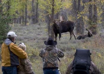 USDA Forest Service