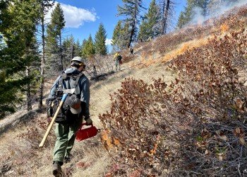 USDA Forest Service