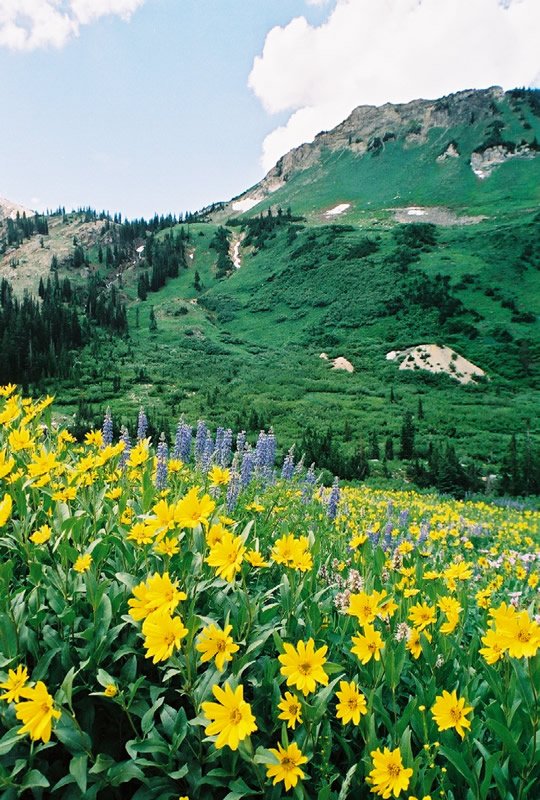Pioneer Campground