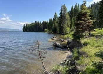 USDA Forest Service