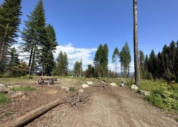 Bald Mountain Campground