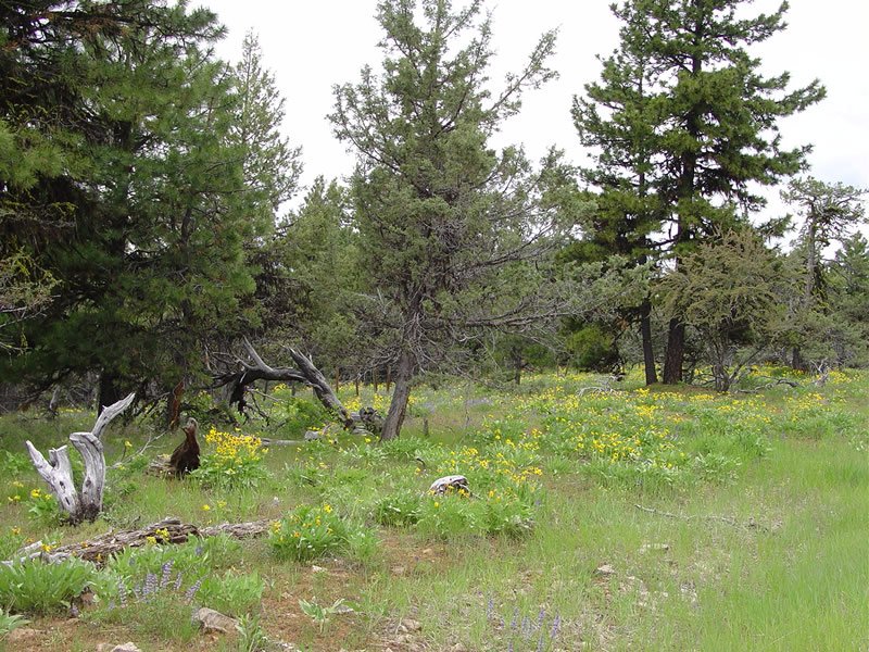 Jerseydale Campground