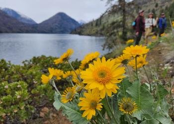 USDA Forest Service