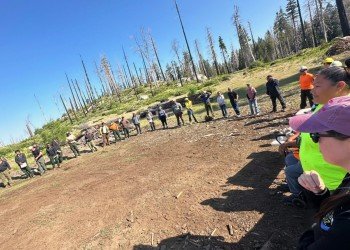 Whisky Falls Campground