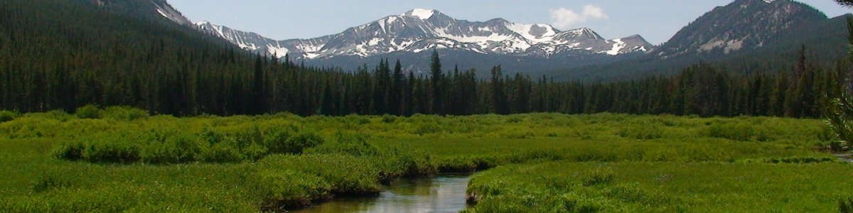 Lodgepole Campground