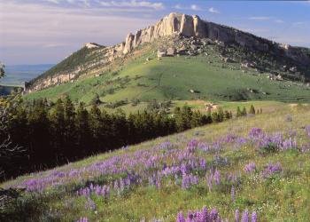 USDA Forest Service
