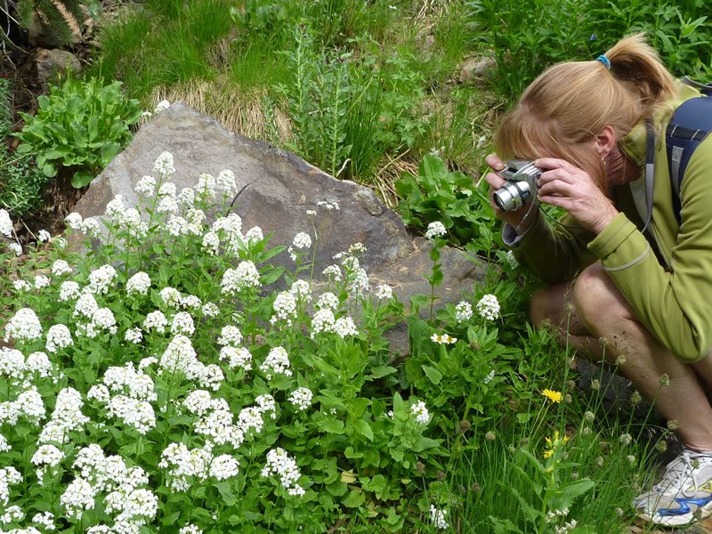 Thistledown Campground - Ouray Rd