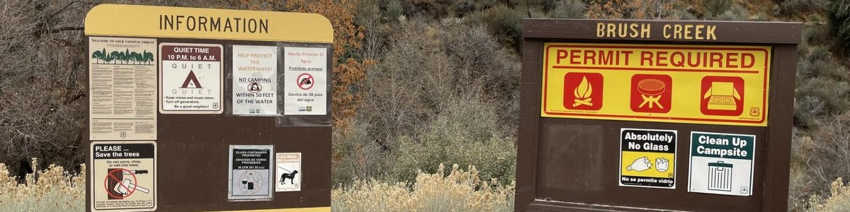 Brush Creek Dispersed Camping