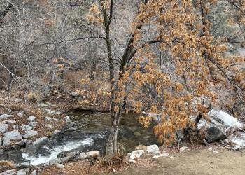 Brush Creek Dispersed Camping
