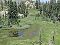 USDA Forest Service