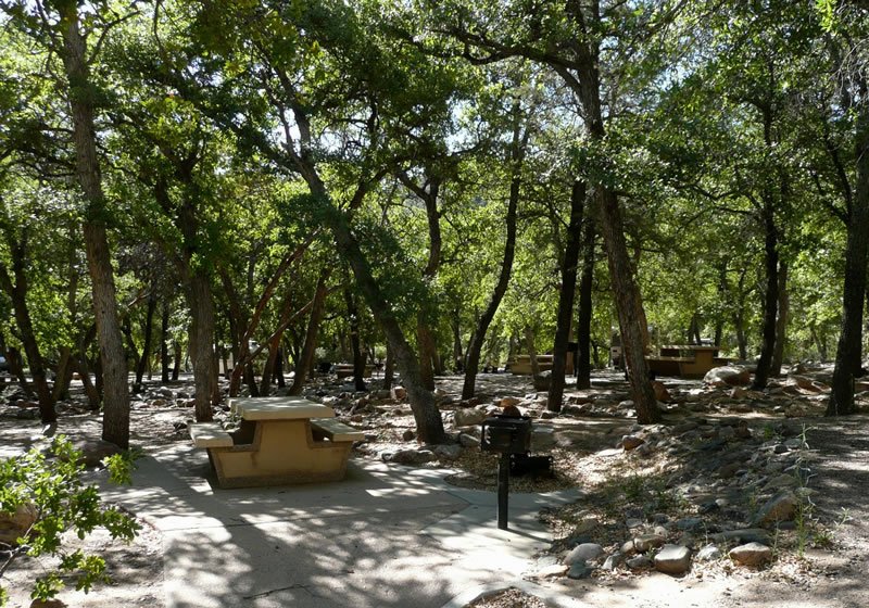 Bog Springs Campground