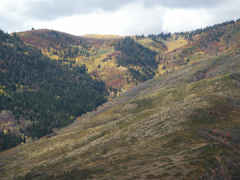 Spirit Lake Campground