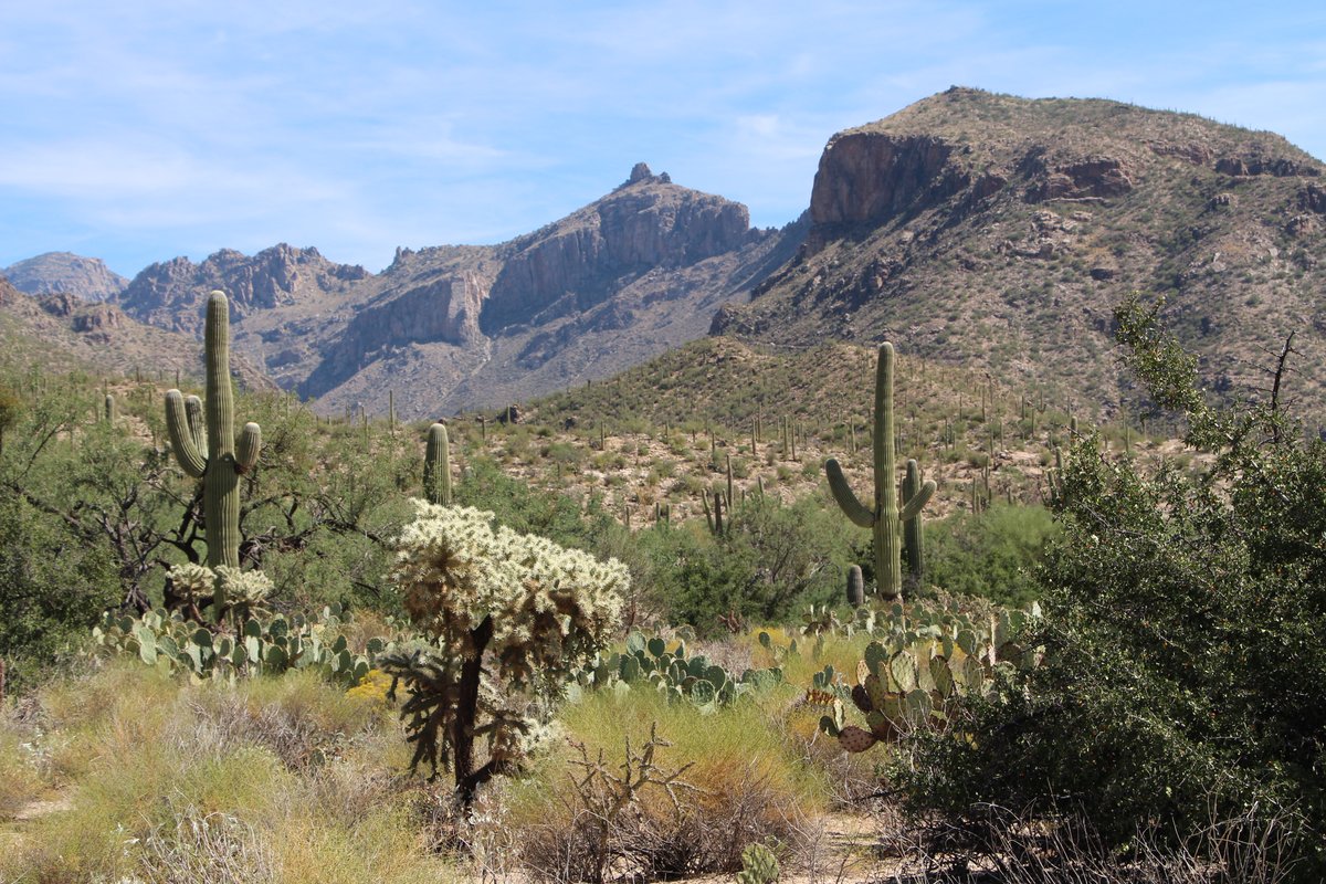 White Rock Campground