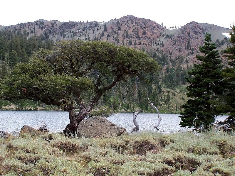 Guffy Campground