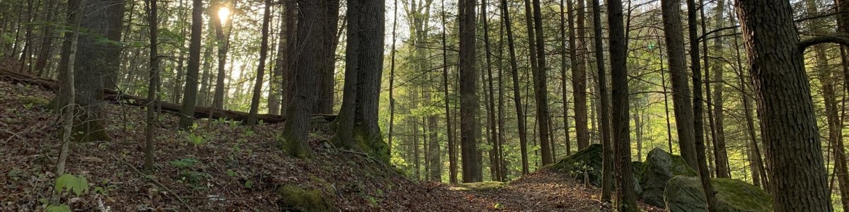 USDA Forest Service