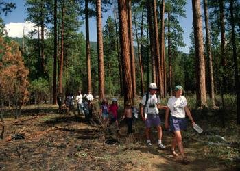 USDA Forest Service