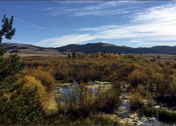 Grasshopper Campground