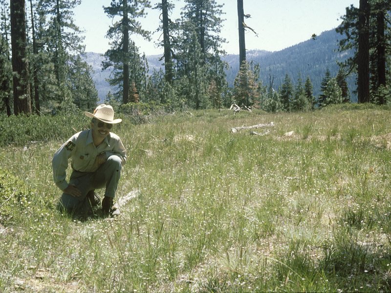 Hornsilver Campground
