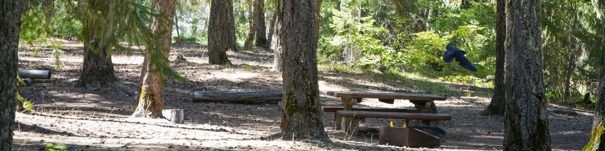 USDA Forest Service