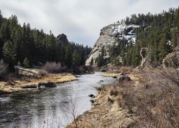 USDA Forest Service