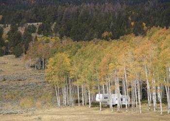 USDA Forest Service