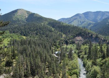 Oak Flat Campground