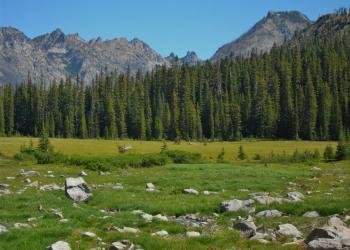 USDA Forest Service