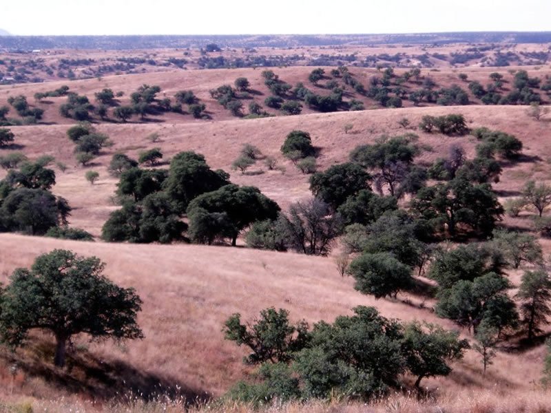 USDA Forest Service