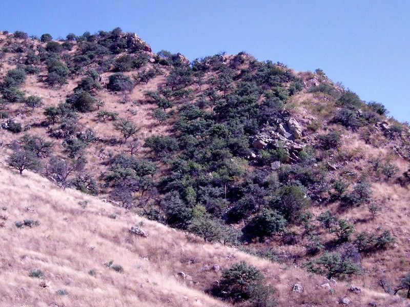 Mcdonald Flats Campground