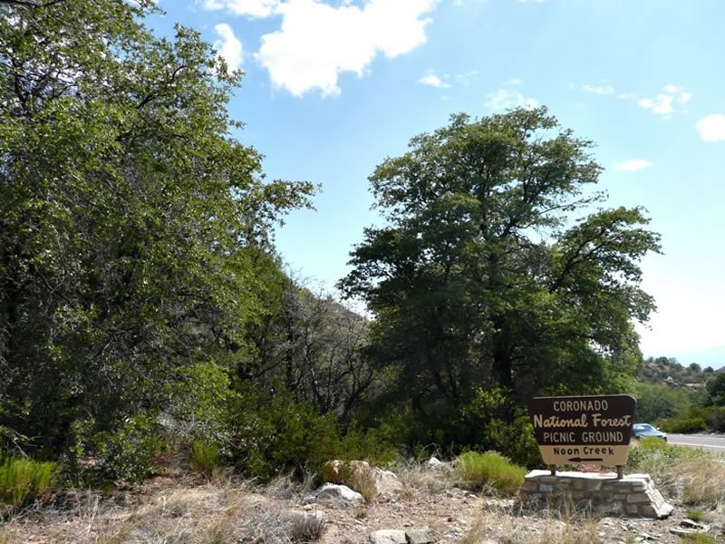 USDA Forest Service