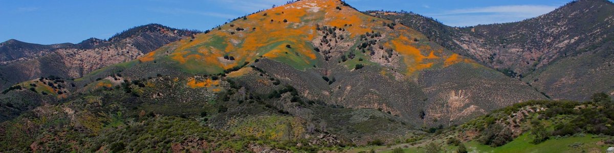 Toad Springs Campground
