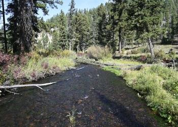 USDA Forest Service