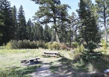 Pintler Campground