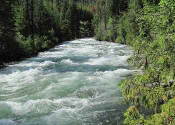 USDA Forest Service