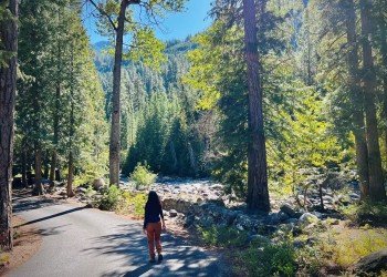 Fox Creek Campground