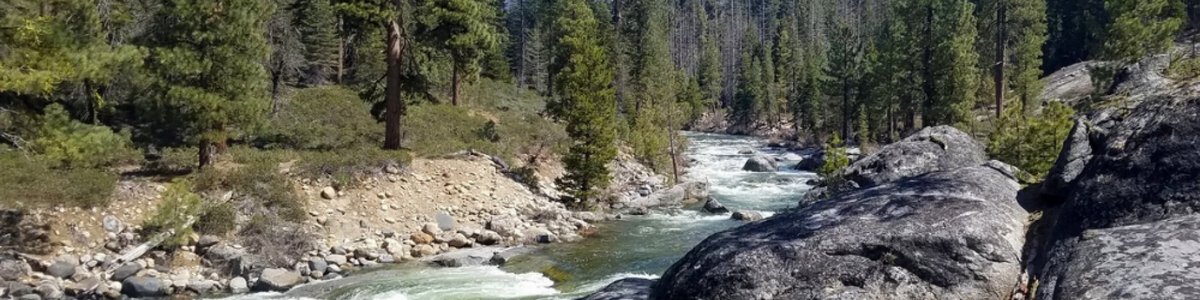 USDA Forest Service