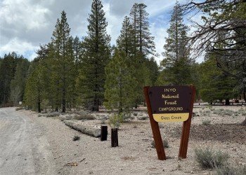 USDA Forest Service