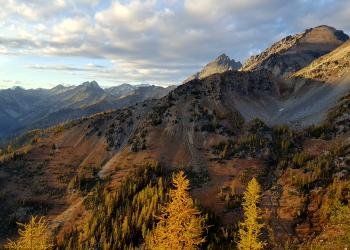 USDA Forest Service