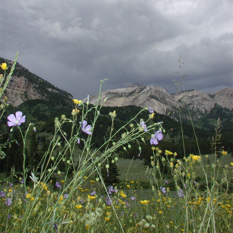 Granite Creek Campground