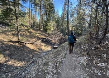USDA Forest Service