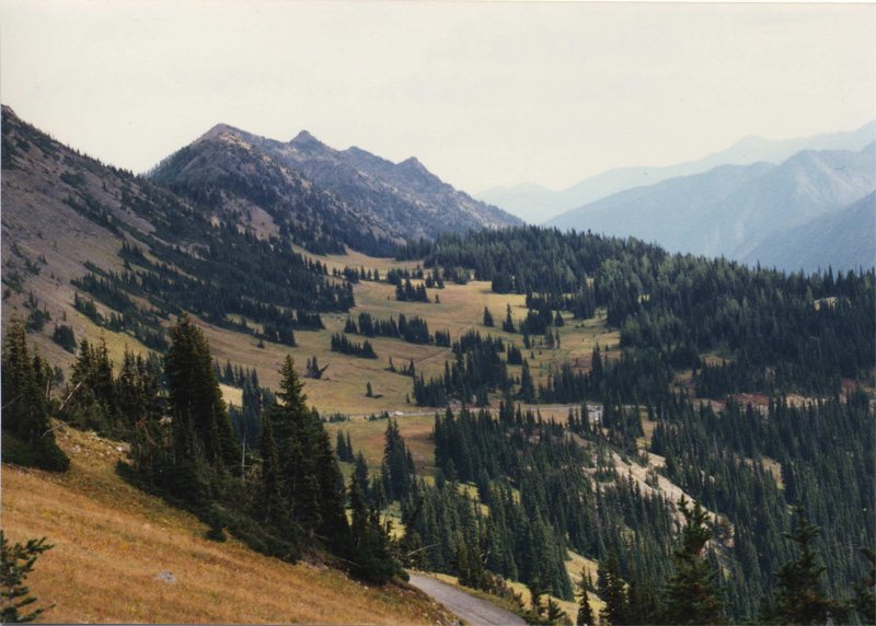 USDA Forest Service